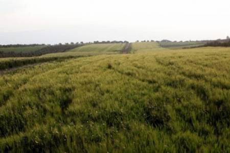 الأربعاء .. طقس ربيعي مُعتدل ومُشمس