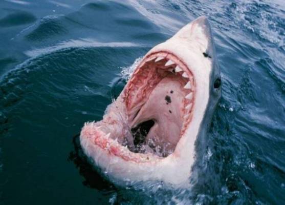 رياضته المفضّلة جعلت نهايته مفجعة!