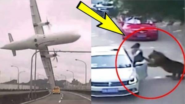 أكثر 5 فيديوهات صدمت العالم ! مشاهد تحبس الأنفاس !!