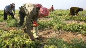 مؤتمر صحفي ناري للمزارعين.. وخدام : وثائق ومعلومات سنكشفها لاول مرة