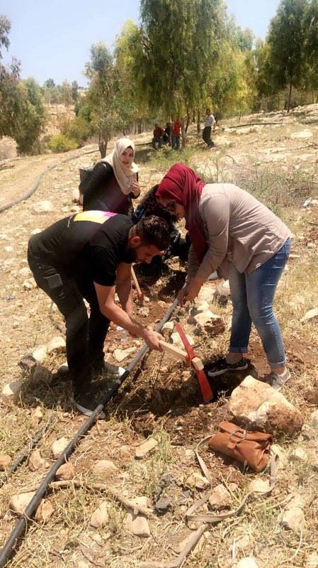 طلبة العلوم التطبيقية الخاصة يشاركون بزراعة 500 شجرة حرجية في عجلون – صور