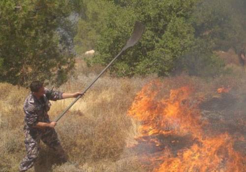 حريق يأتي على 20 دونما بغابة في جرش