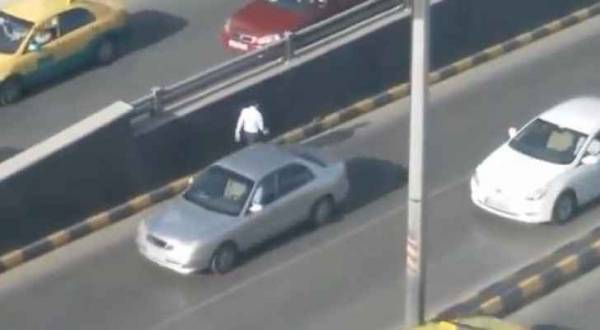 شاب ينقذ حياة قطة في عمان