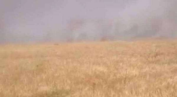 حريق يلتهم أرضا مزروعة بالقمح في الرمثا (فيديو)