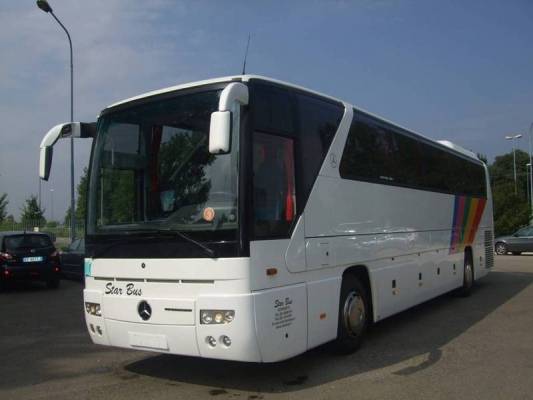 سقوط شجرة على حافلة للسياح في العقبة (صورة )