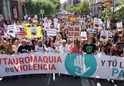 الآلاف يتظاهرون ضد رياضة مصارعة الثيران في أسبانيا