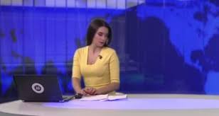 شاهد ماذا فعل كلب بمذيعة أثناء نشرة إخبارية