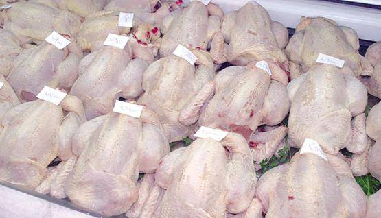 المستهلك: اما تحديد سقف سعري للدواجن واما المقاطعة