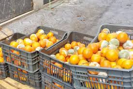 (كرّ وفرّ).. معركة (الأمانة) مع الباعة المتجولين وصولاً لغذاء آمن