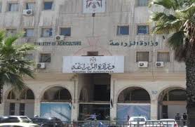 إعادة هيكلة وزارة الزراعة