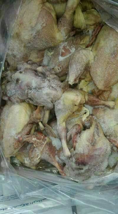 الخيطان: ينفي وصول الدجاج الفاسد للزرقاء