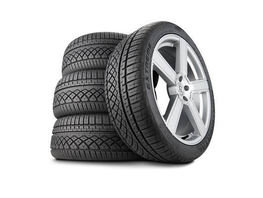 سرقة في وضح النهار – صور