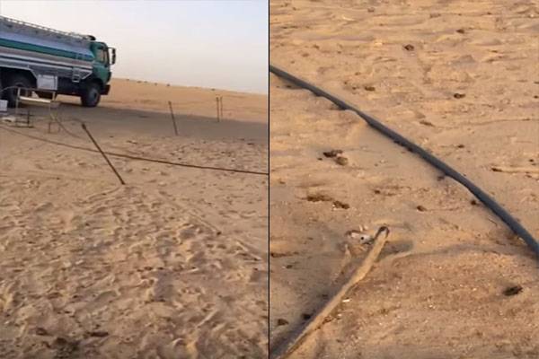 بالفيديو: مواطن يسقى ظمأ جربوع كاد يموت عطشًا في الصحراء