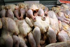 فضيحــة «الدجاج»..!