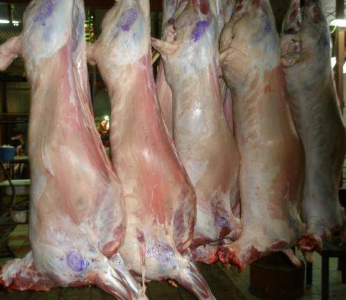 مقاطعة الدواجن ترفع اسعار اللحوم في الكرك والطفيلة