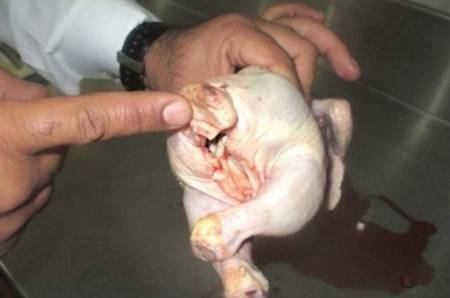 الدعجة والطيطي طالبا باخراج الصحفيين من جلسة الدجاج الفساد