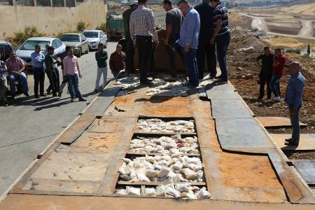 في أكبر قضية لهذا العام:اداره مكافحة المخدرات تحبط تهريب ٩مليون حبه مخدره