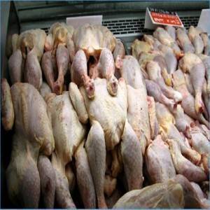 ضبط دجاج فاسد في الزرقاء