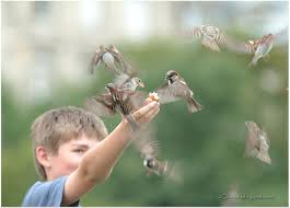 صيام العصافير.. سلوك تربوي لشجيع الاطفال على الصوم