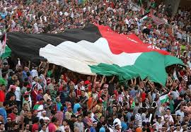 أخبار النشامى