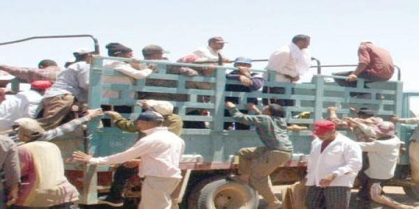 منظمة العمل الدولية: 1.4 مليون عامل أجنبي في الأردن