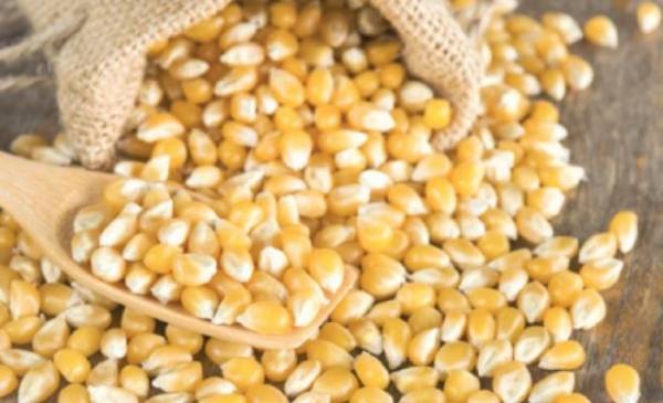 رفض باخرتي ذرة أميركية