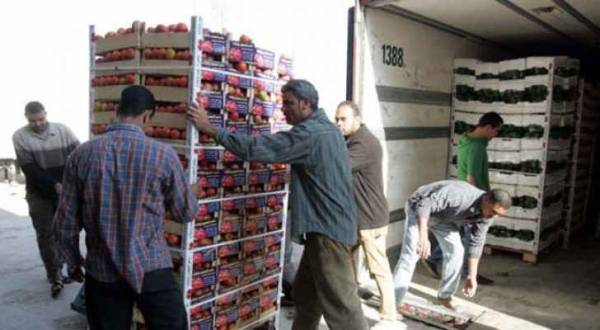 السماح للبرادات الاجنبية بتحميل المنتجات الزراعية لفترة محدودة