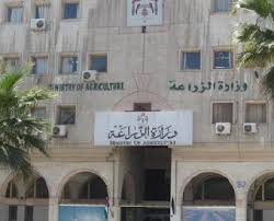 جهة منظمة تطالب وزارة الزراعة بثمن 20 سدر منسف منذ 7 شهور!