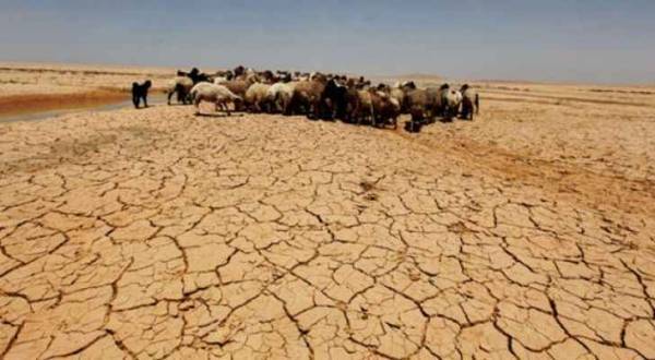 ٩٠ من مساحة الأردن مهددة بالتصحر
