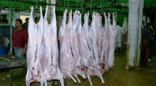 دوام مسلخ أمانة عمان خلال عطلة عيد الفطر