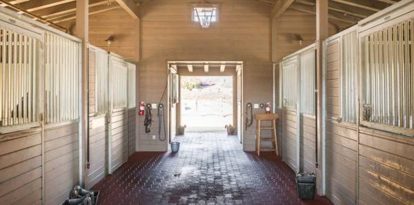 العثور على فتاة عاشت 28 عامًا عارية في إسطبل‎ (فيديو )