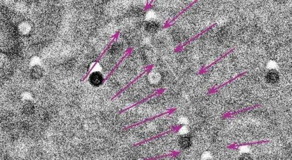 فلكيا: رؤية هلال شوال قبل قليل في العاصمة عمّان
