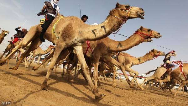 إعلان تأسيس الاتحاد الدولي لسباقات الهجن