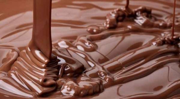 الشوكولاتة أفضل غذاء للذاكرة وكبار السن