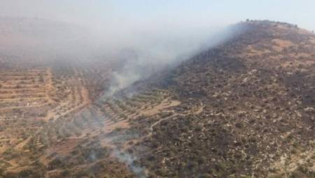 اخماد حريق 60 دونم من الاشجار الحرجية والزيتون في الاغوار الشمالية