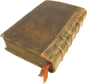 شارع زهير النوباني