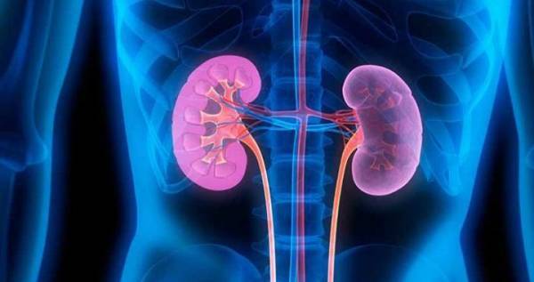 استئصال أكبر كليتين بالعالم بدبي