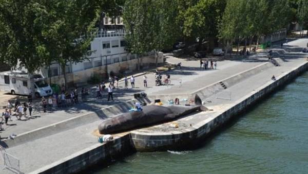 شاهد.. حوت عملاق يصدم المارة وسط باريس