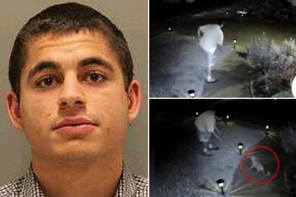 قام بقتل ٢١ قطاً واغتصاب أحدها! كيف وقع سفاح القطط في الفخ وما دافعه لاغتيالهم؟