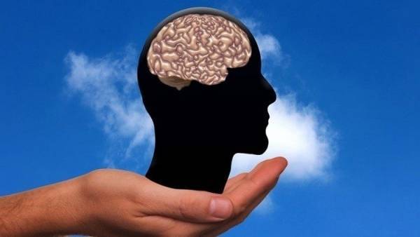 أفضل حمية غذائية للحفاظ على صحة الدماغ