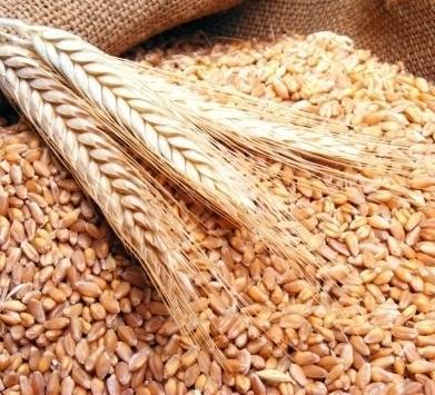 9 حبوب لـعشاق الحمية الصحية