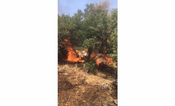 نيران تلتهم (10) دونمات في دبين