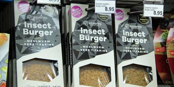 متاجر سويسرية تبيع شطائر مصنوعة من الحشرات! وهذا مبرِّرهم