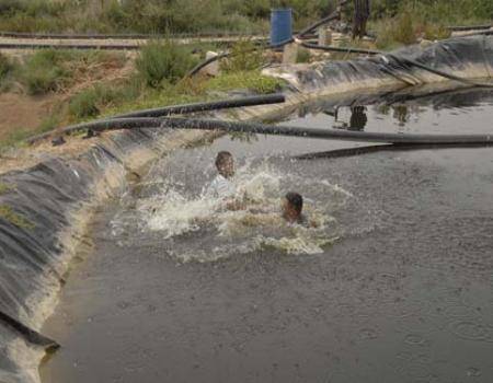 وفاة شاب غرقا في بركة زراعية بالشونة الجنوبية
