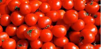 البندورة الأكثر تصديرا والخليج العربي لها نصيب الأسد