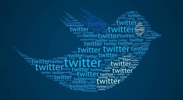 تويتر يغلق حساب ياباني بسبب بعوضة