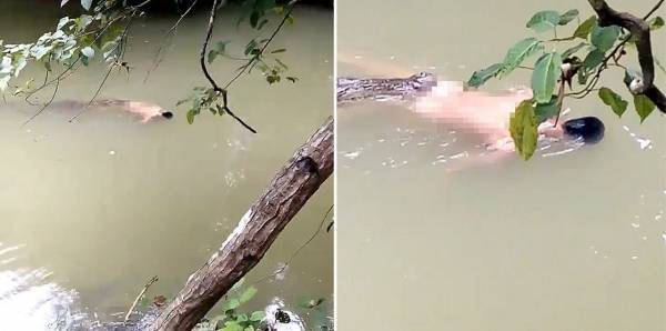 ادّعى امتلاكه قوة خارقة للسيطرة على التماسيح.. شاهد نهاية ساحر بين فكيّ تمساح!