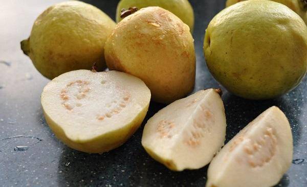 مزارعون فلسطينيون يناشدون الأردن الغاء الضرائب