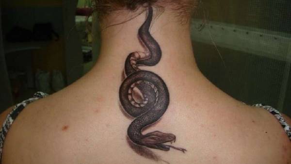 الفتاة الأفعى تشغل الإعلام في الفلبين! صور