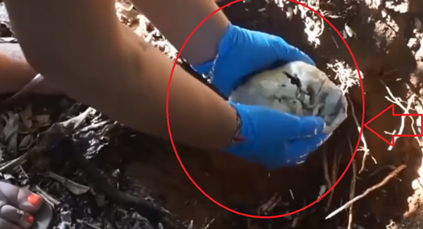 سيدة تقوم بدفن قلبها (فيديو)